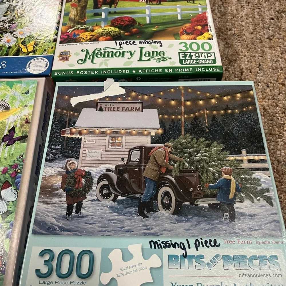 Puzzles - Picture 7 of 7